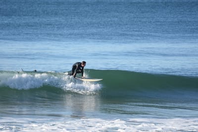 DSC_6957.JPG
