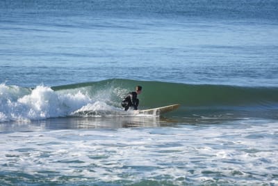 DSC_6959.JPG