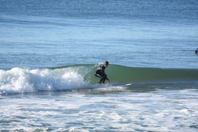 DSC_6960.JPG