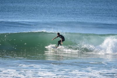 DSC_6971.JPG