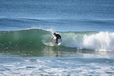 DSC_6973.JPG