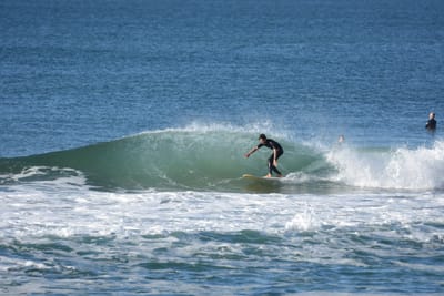 DSC_6984.JPG