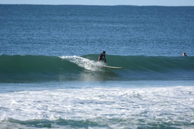 DSC_7004.JPG