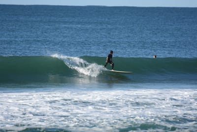 DSC_7005.JPG