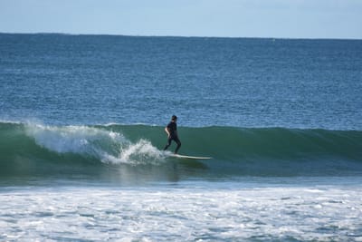 DSC_7006.JPG