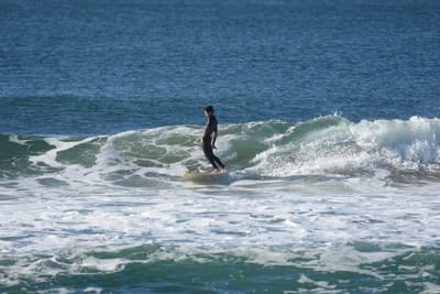 DSC_7022.JPG