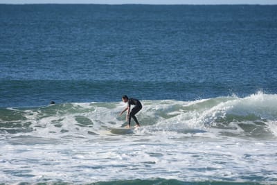 DSC_7023.JPG