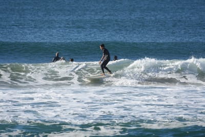 DSC_7025.JPG