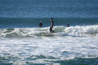 DSC_7026.JPG