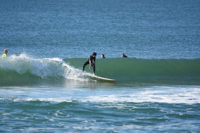 DSC_7036.JPG