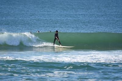 DSC_7037.JPG