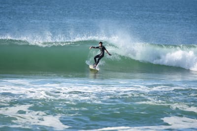 DSC_7086.JPG