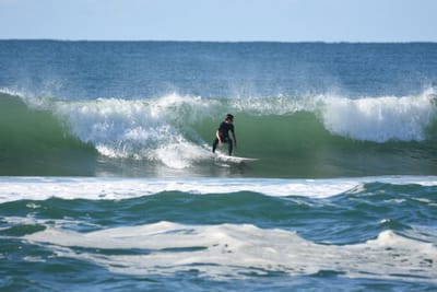 DSC_7109.JPG