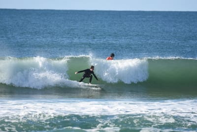 DSC_7126.JPG