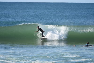DSC_7136.JPG