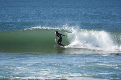 DSC_7137.JPG