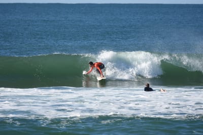 DSC_7164.JPG