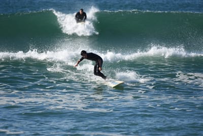 DSC_7289.JPG