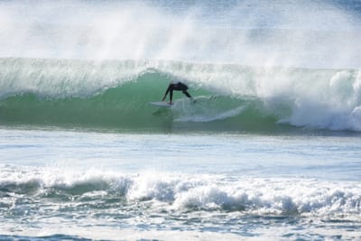 DSC_6981.JPG