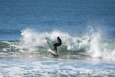 DSC_7071.JPG