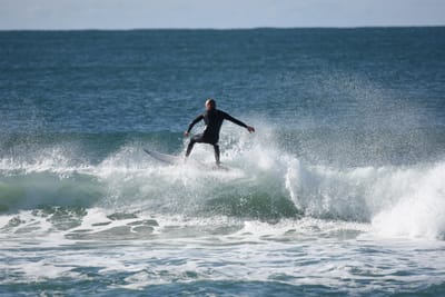 DSC_7278.JPG