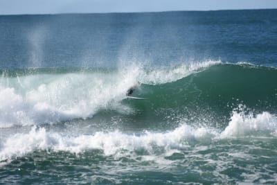 DSC_7314.JPG