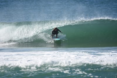 DSC_7397.JPG