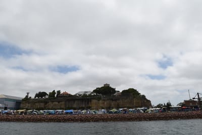 DSC_6303.JPG