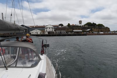 DSC_6305.JPG