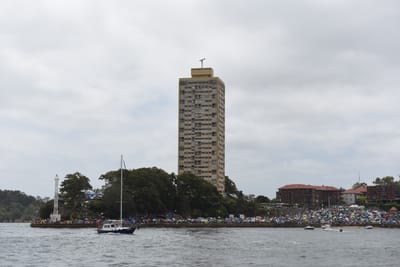 DSC_6310.JPG