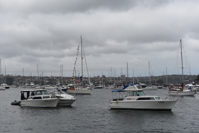 DSC_6316.JPG