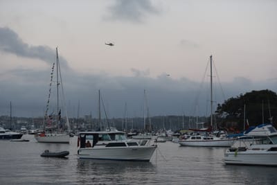 DSC_6319.JPG