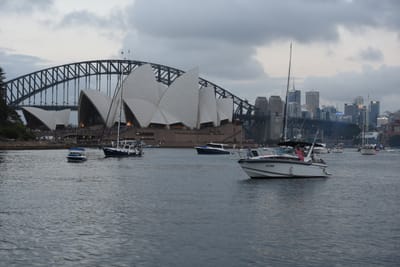 DSC_6320.JPG