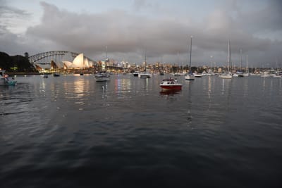 DSC_6340.JPG