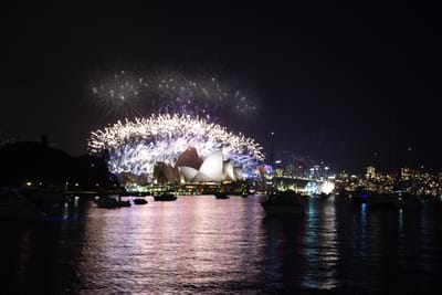 DSC_6417.JPG