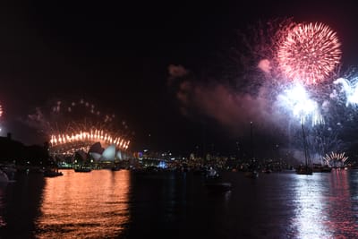DSC_6442.JPG
