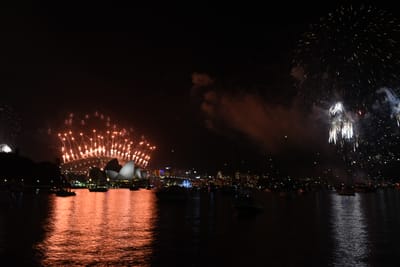 DSC_6444.JPG