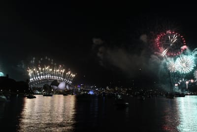 DSC_6449.JPG