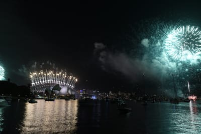 DSC_6452.JPG