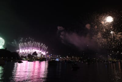 DSC_6454.JPG