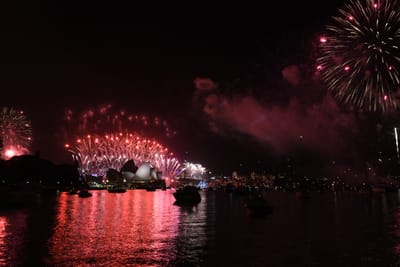 DSC_6460.JPG