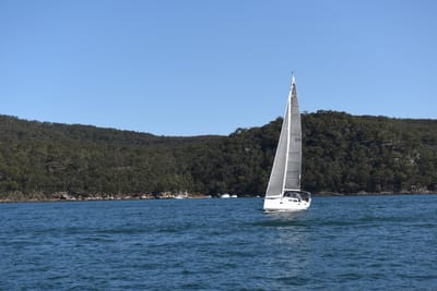 DSC_5844.JPG
