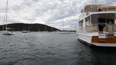 DSC_6083.MOV