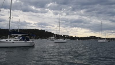 DSC_6085.MOV