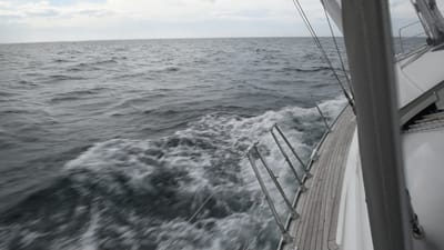 DSC_6091.MOV