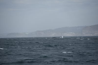 DSC_6094.JPG
