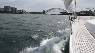DSC_6113.MOV