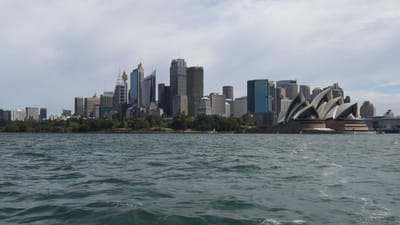 DSC_6115.MOV
