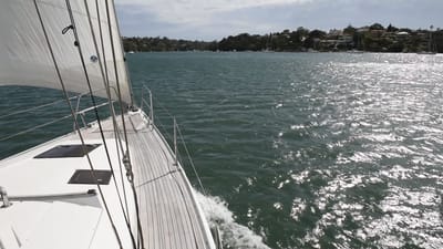DSC_6137.MOV
