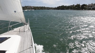DSC_6138.MOV